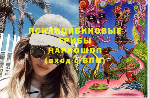 гашик Надым