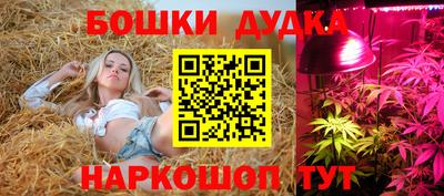 apvp Заволжье