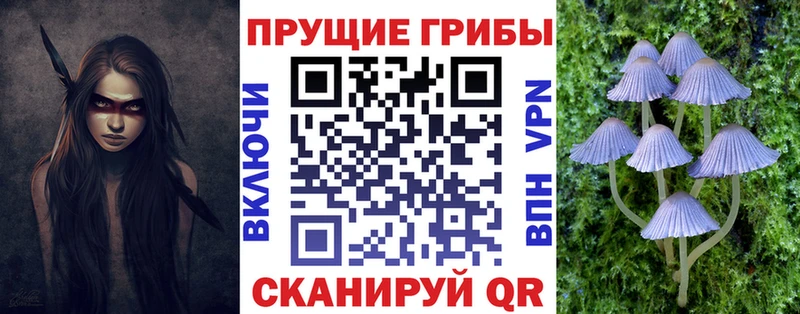 Псилоцибиновые грибы MAGIC MUSHROOMS  Советский 
