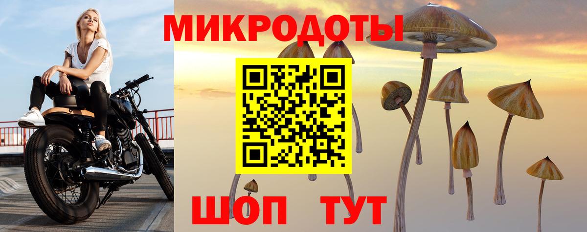 Советский  Галлюциногенные грибы Cubensis  где найти   Вход с VPN  Псилоцибиновые грибы Cubensis 