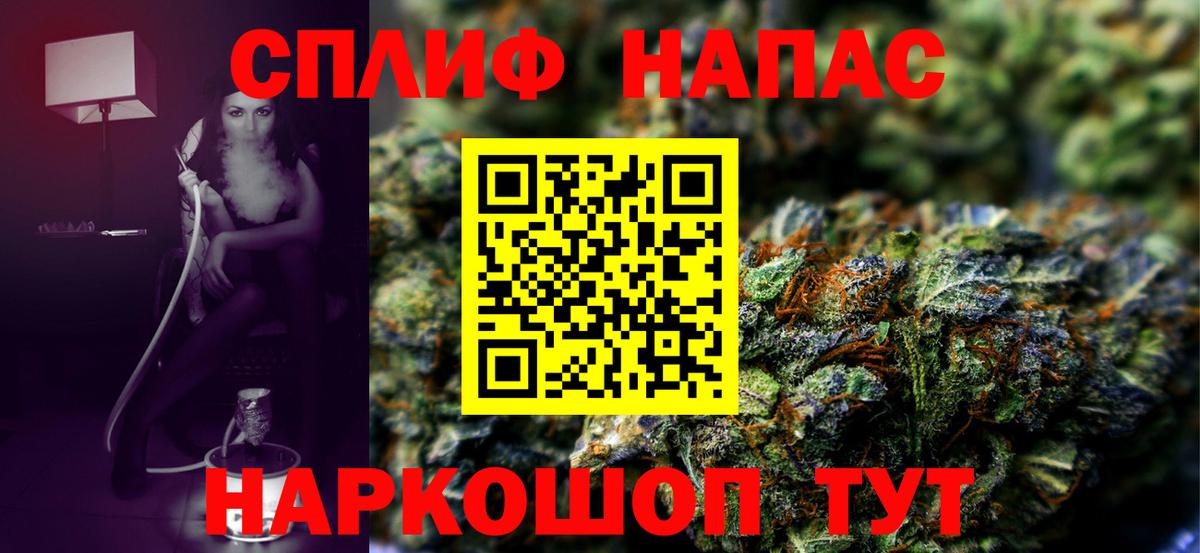 Конопля семена  Каннабис гибрид  Конопля VHQ  Советский  Вход с VPN 